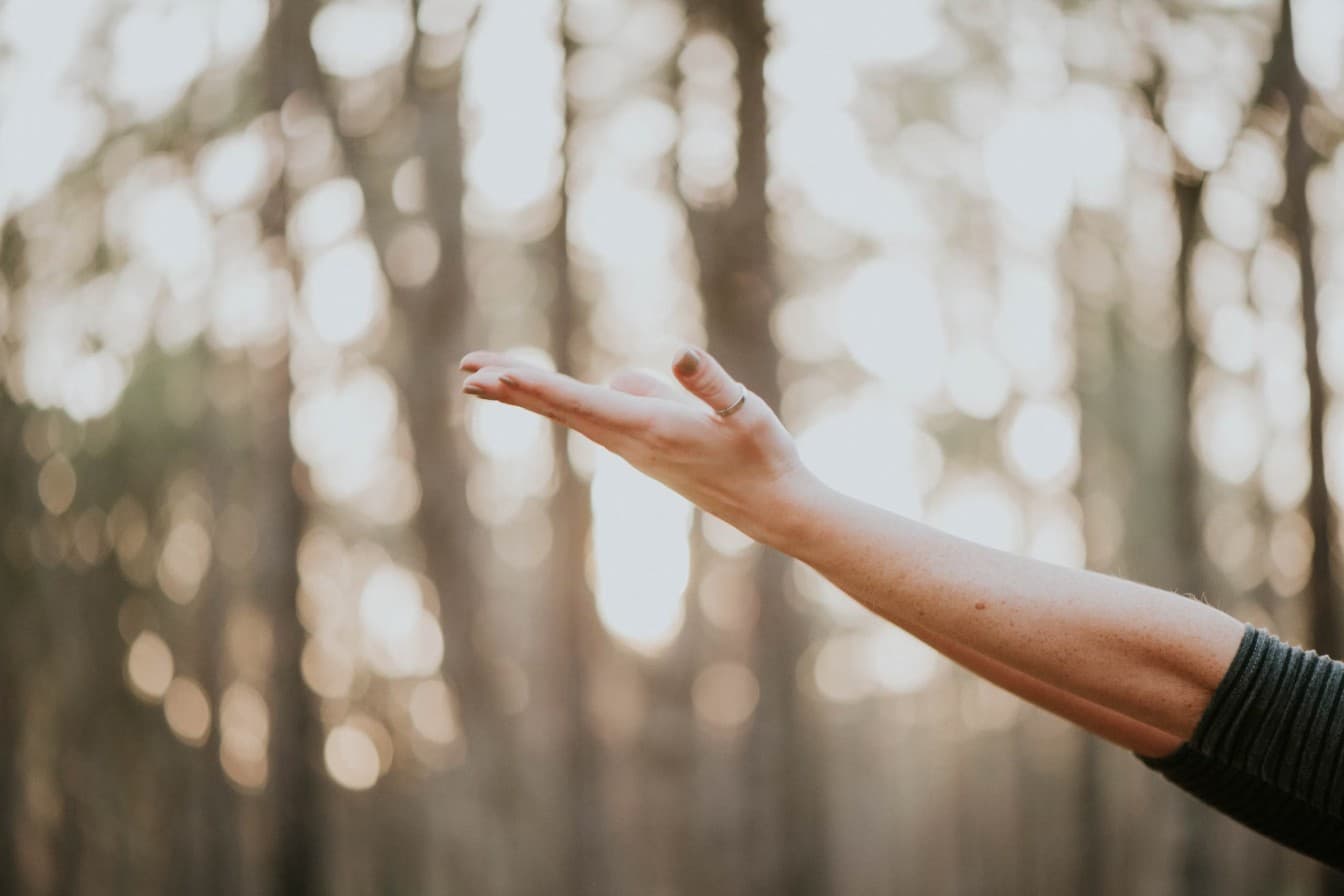 A hand reaching towards soft light in a forest